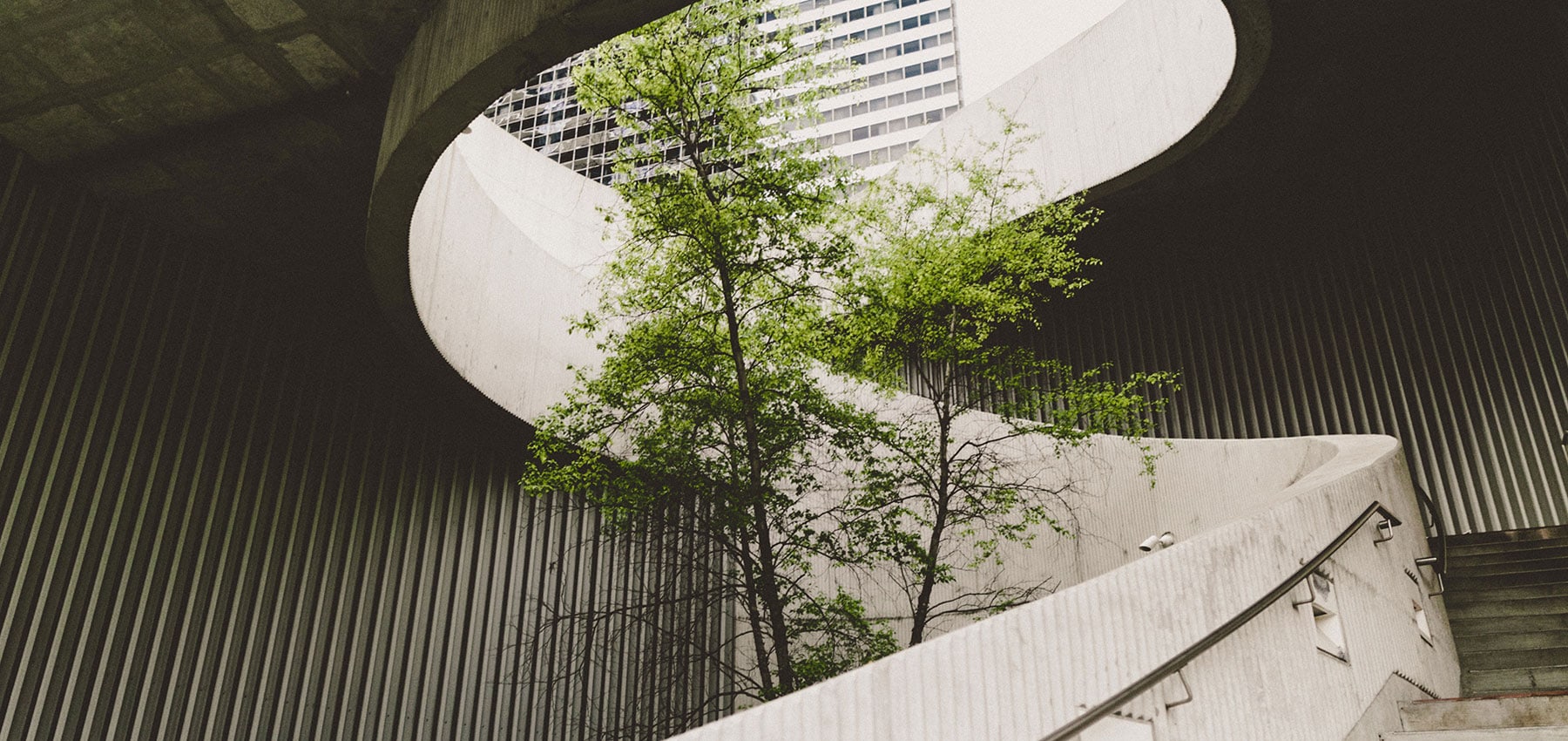 regenerative business