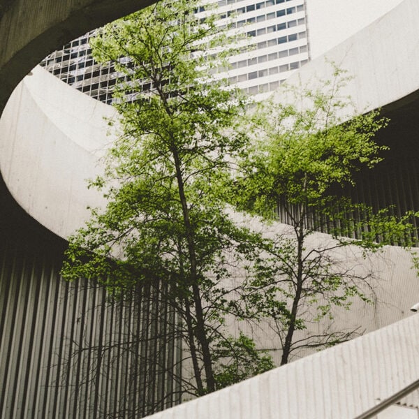 regenerative business
