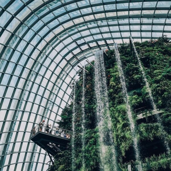 Singapore Private Wealth Structure