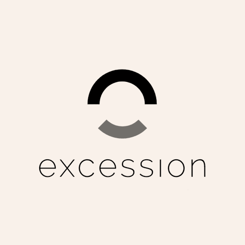 Elon Musk Excession