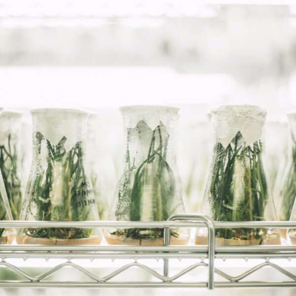 food technology