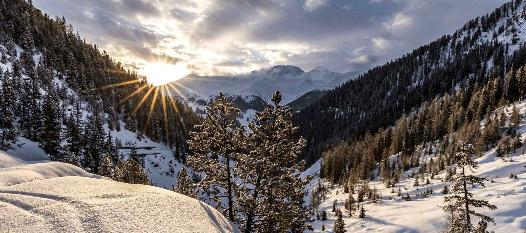 family office davos