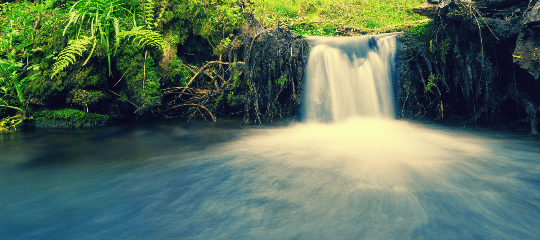 Family office investment trends and global capital flows – forest reflection imagery