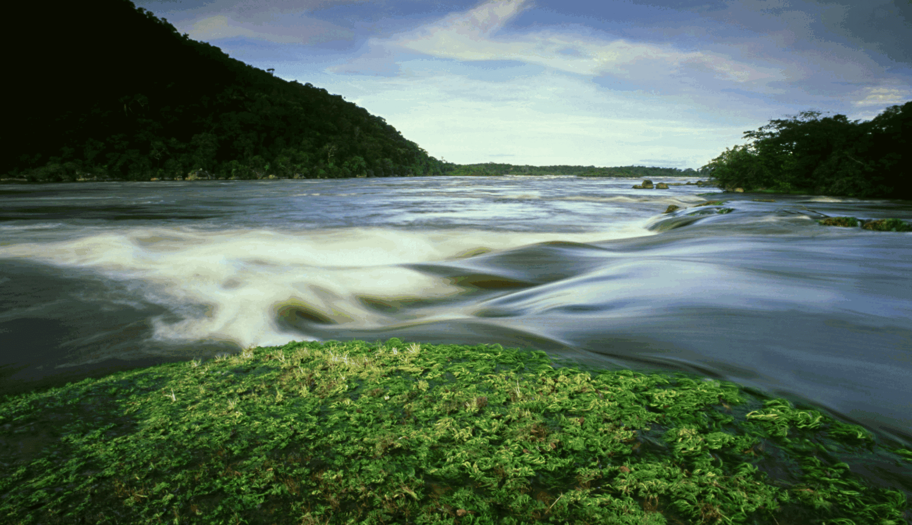 Fast-flowing river with green vegetation in the foreground, symbolising hidden drains on family office portfolios.
