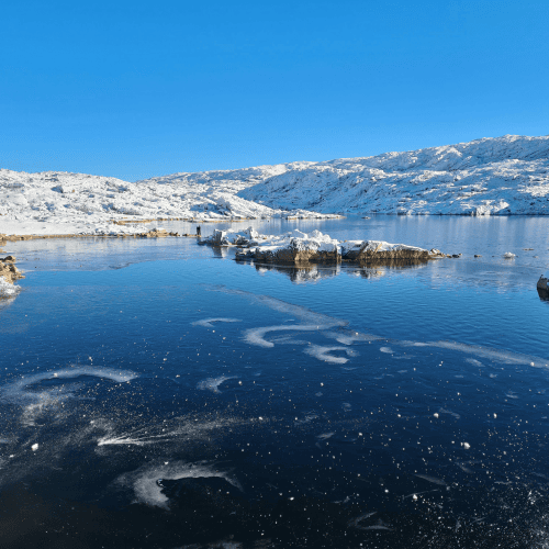 AI in family office software 2025 – from hype to implementation, symbolised by frozen lake and clear reflection