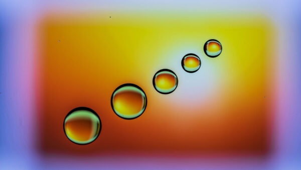 Five colourful bubbles